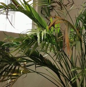 Meet your Posher, Max